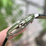 Cartier Replica Watch Ballon Bleu Leather Strap AF Factory 42mm - Image 6