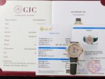 Rolex Yacht-Master Replica Watches Gold Wrapped + Moissanite Diamonds Hong Kong 40mm