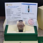 Rolex Sky-Dweller M336235 Custom Gold Wrapped Chocolate Dial 42mm