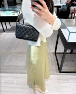 CHANEL WOC (Wallet on Chain) – Gold-Tone Chain and Hardware - Image 9