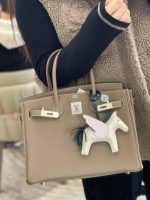 Birkin 25 Grey - Image 7