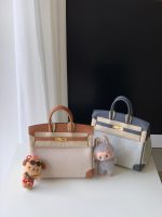 Birkin 25 橙色帆布 - Image 4