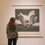 Dior 30 Montaigne Oblique Canvas Mini Box Bag - Image 10