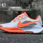 Nike Pegasus Trail 5