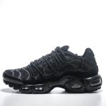 Air Max Plus TN 2