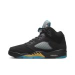 Jordan air Jordan 5