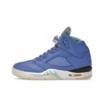 Jordan air Jordan 5