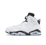 Nike Air Jordan 6
