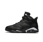 Nike Air Jordan 6