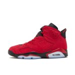 Nike Air Jordan 6