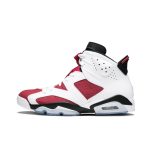 Nike Air Jordan 6