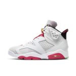 Nike Air Jordan 6