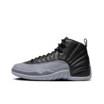 Jordan Air Jordan 12