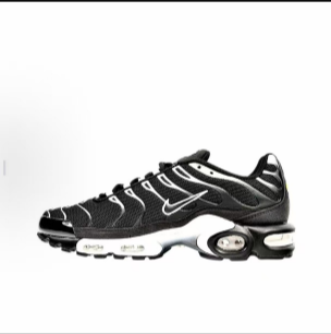 微信图片_20250301192600-1.png Air VaporMax Plus TN - Image 1